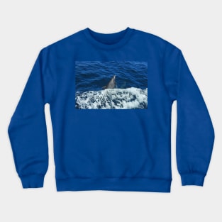 Marine Life, Dolphin, Pacific Ocean, marine life, wildlife, gifts Crewneck Sweatshirt